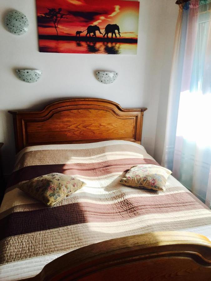 Rolling Stone Hostel Brasov Exterior photo